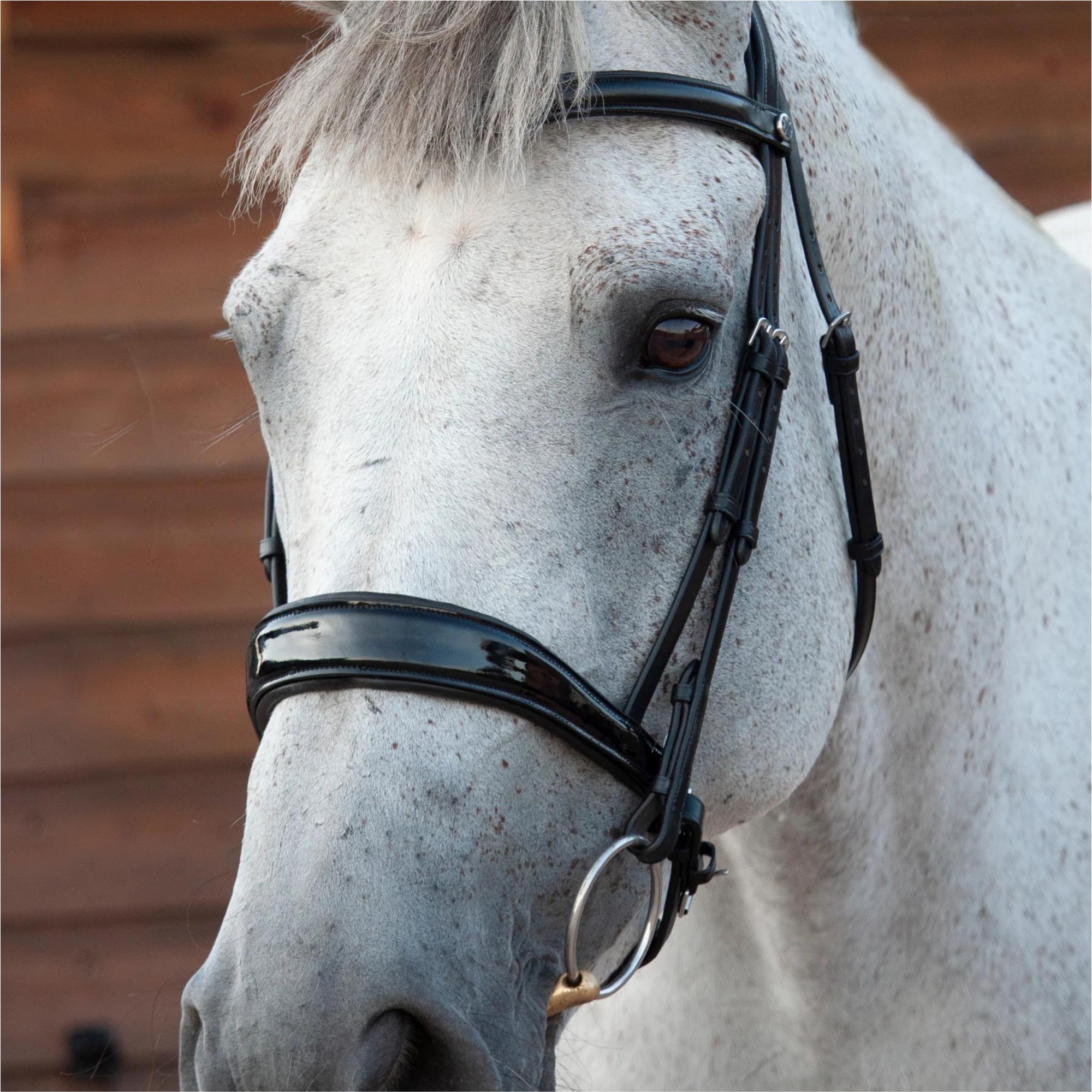 2024 Henry James Patent Dressage Bridle HJ-BR-06 - BLACK